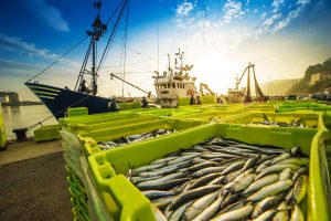 FISHERY SECTOR